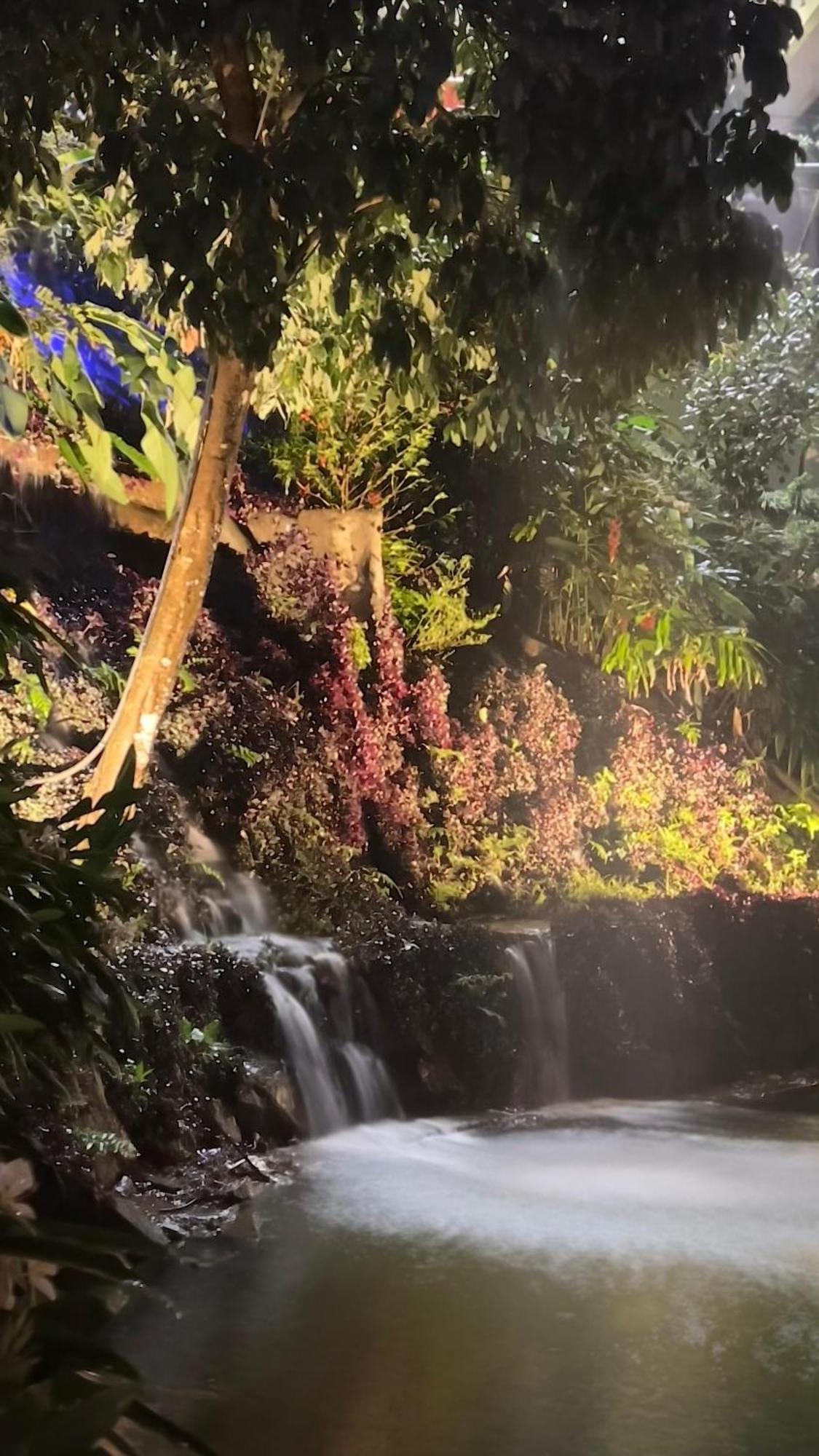 Suvarna Eco Village マディケーリ エクステリア 写真